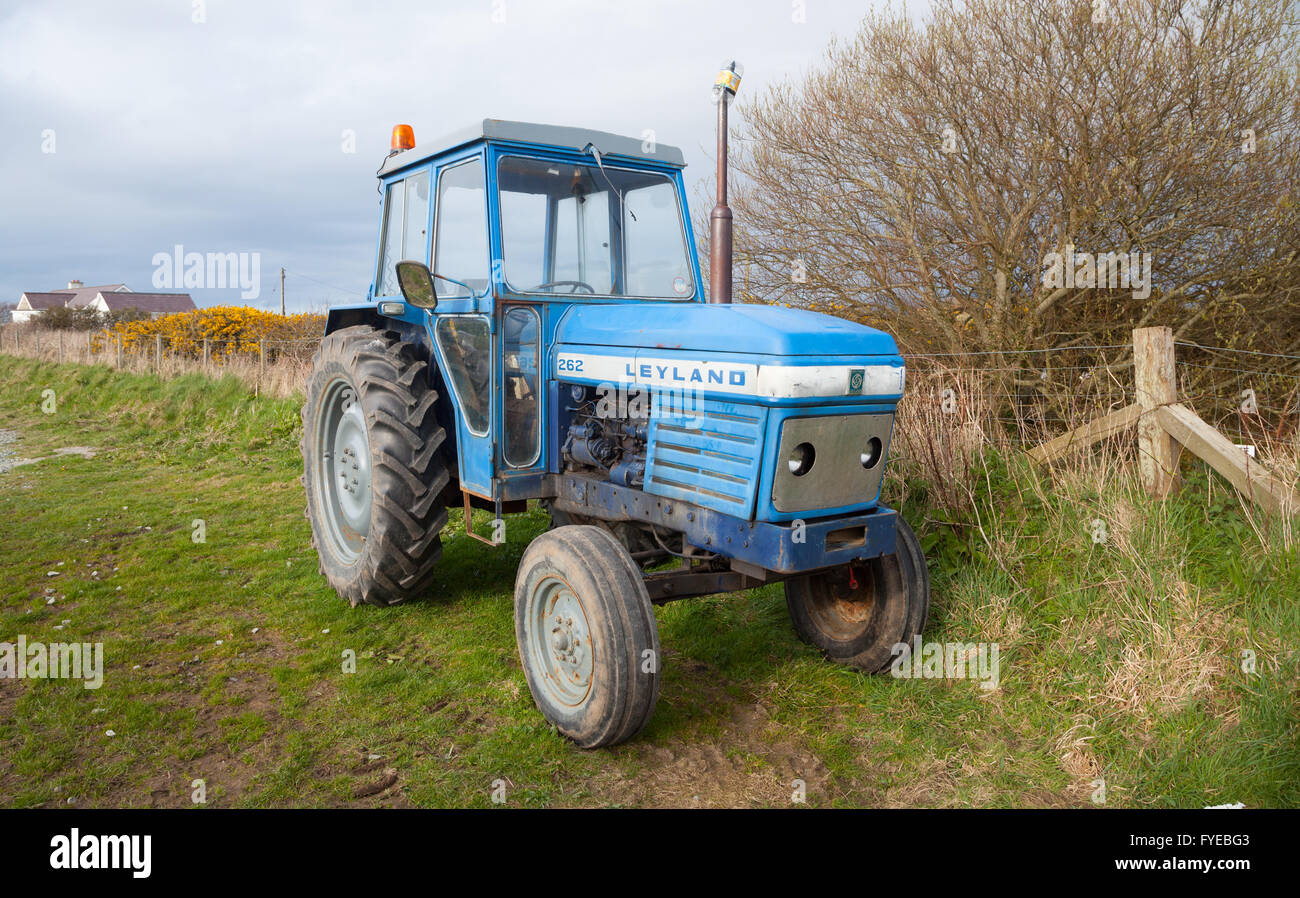 Blue Leyland tractor used on a beach parked in field near Morfa Nefyn, Nefyn, Pwllheli, Pen Llyn / Lleyn Peninsula, North Wales Stock Photo