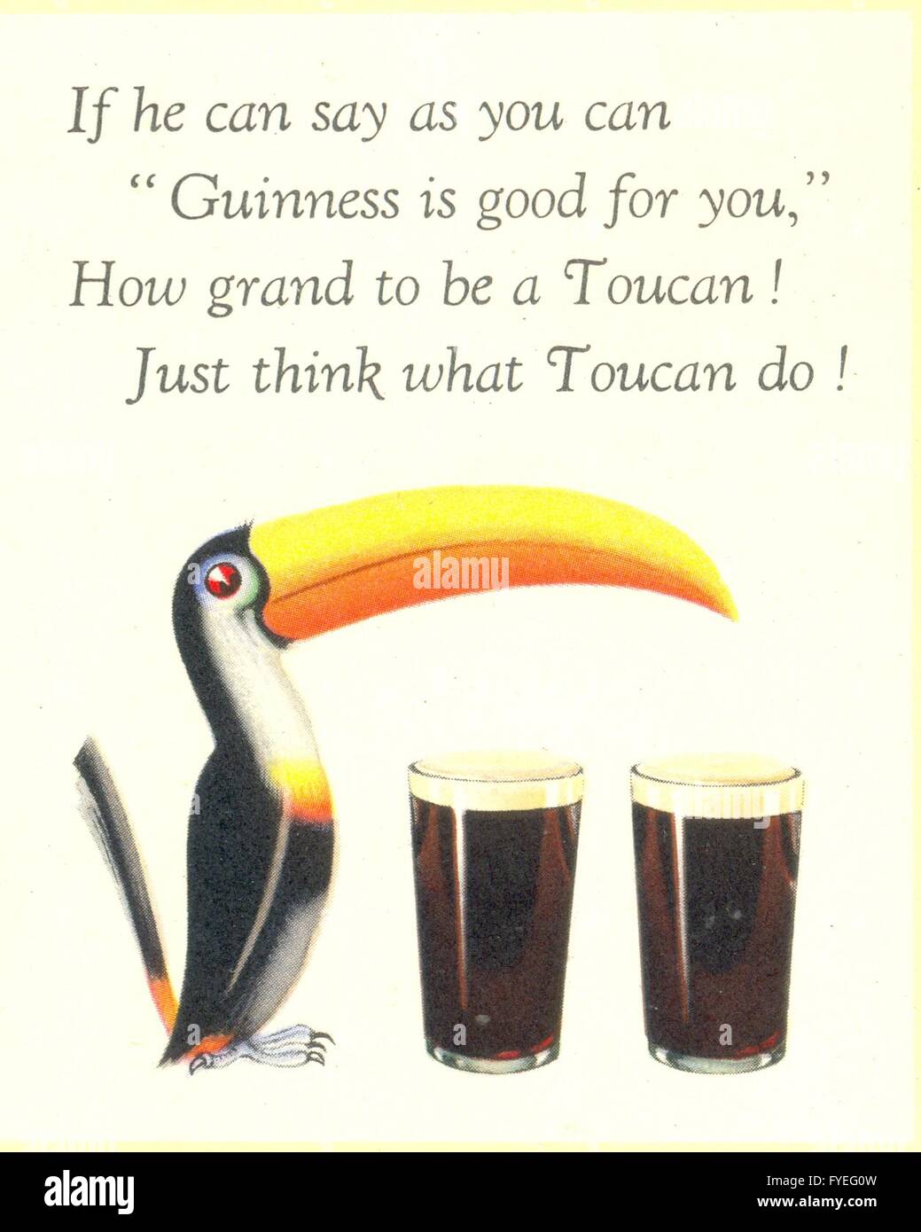 From A Guinness Scrap Book advertising the drink with a toucan by artist John Gilroy Stock Photo