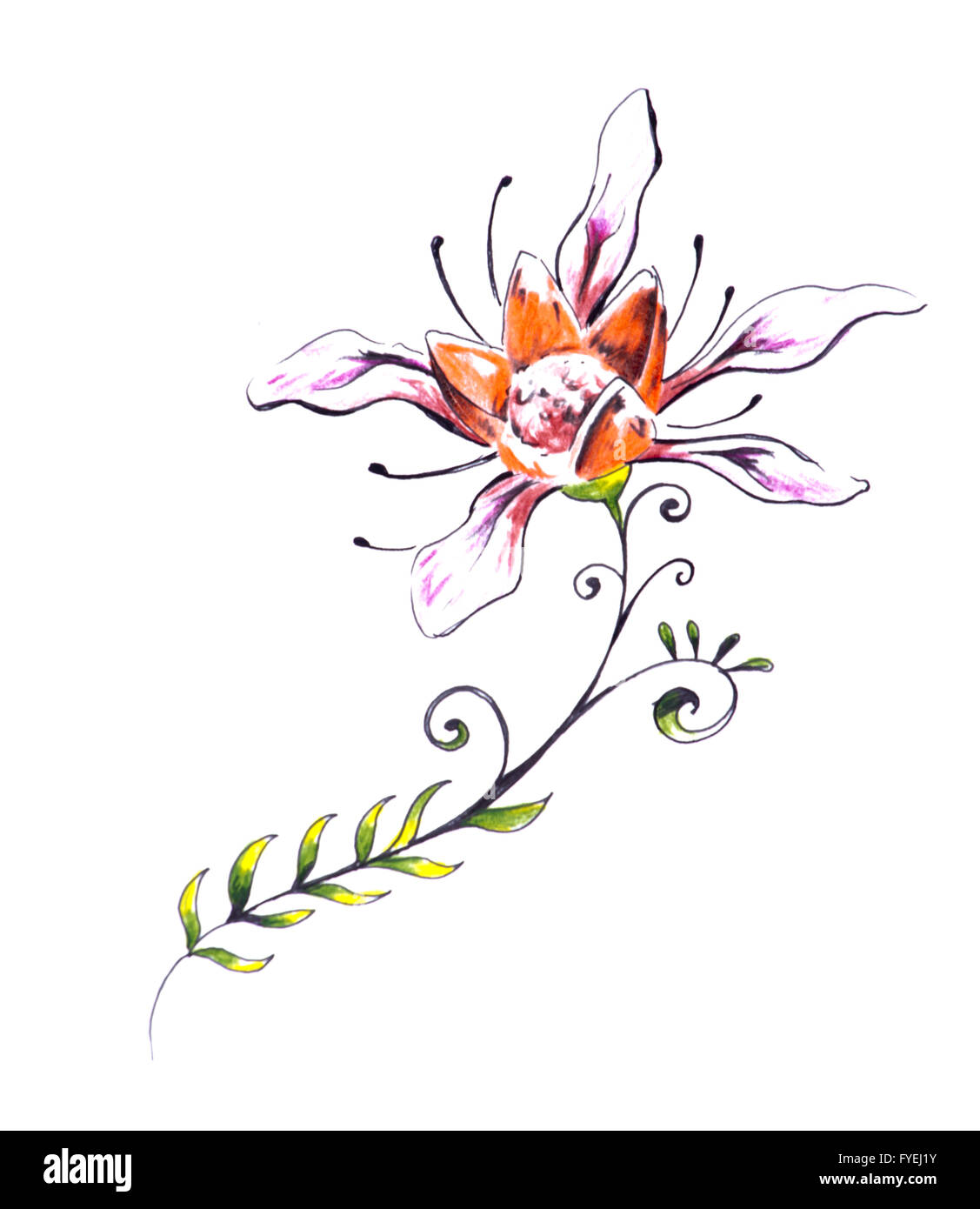 Sketch of tattoo art, flower with tribal design Stock Photo - Alamy