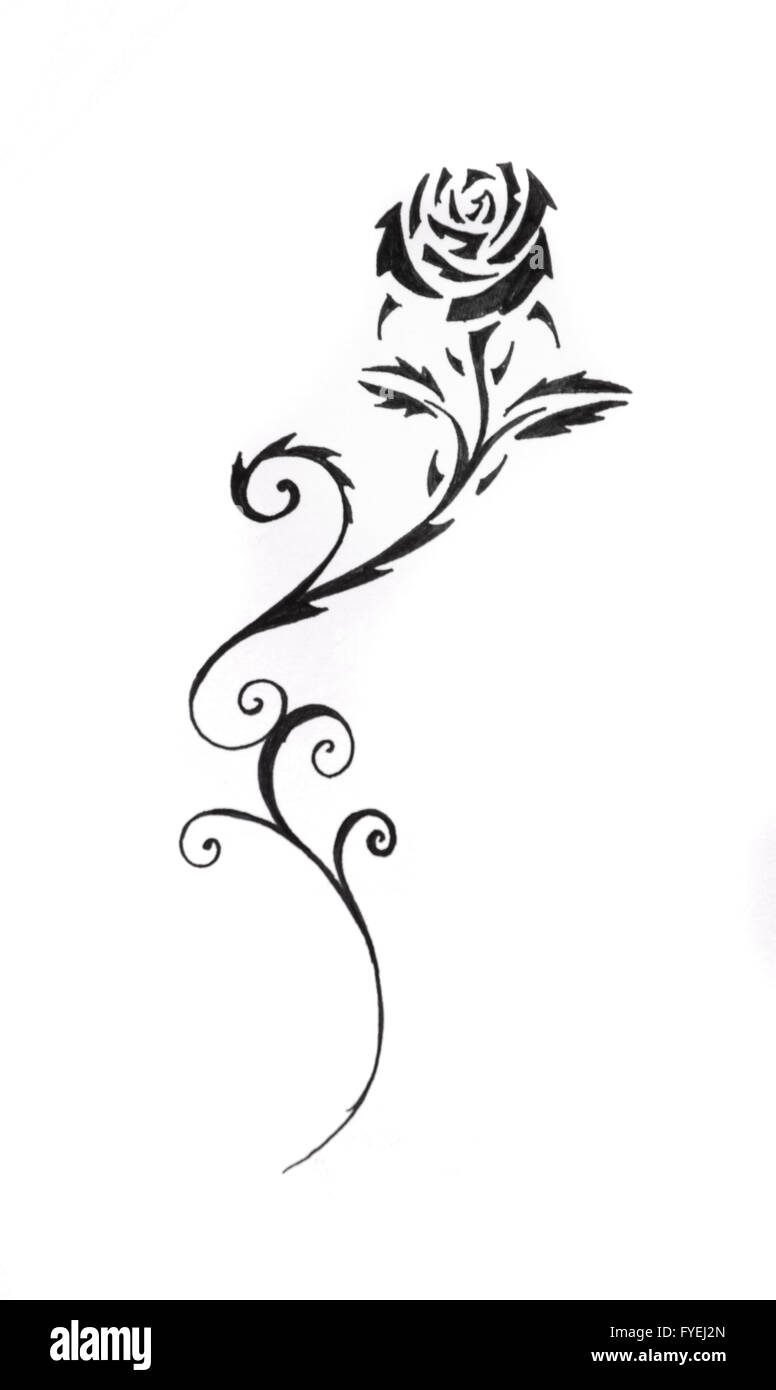 Sketch of tattoo art, black rose Stock Photo - Alamy