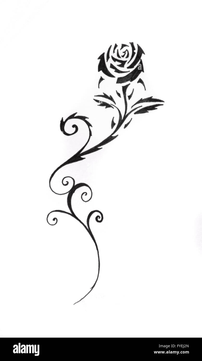 Black silhouette roses and leaves rose tattoo Vector Image