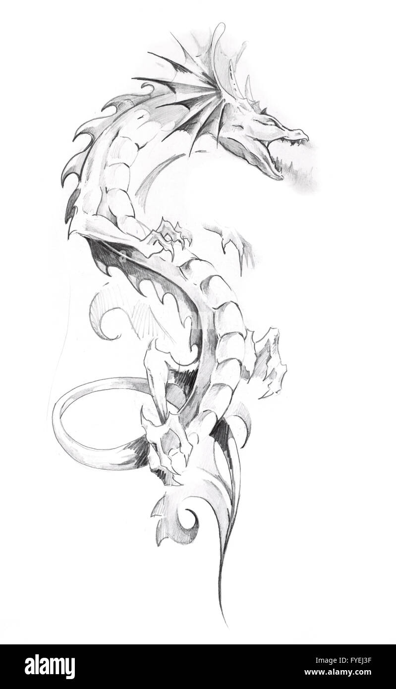 Sketch of tattoo art, dragon Stock Photo - Alamy