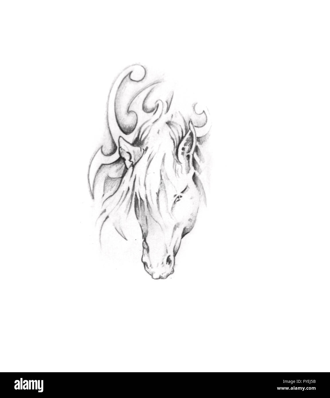 Sketch of tattoo art, horse Stock Photo - Alamy