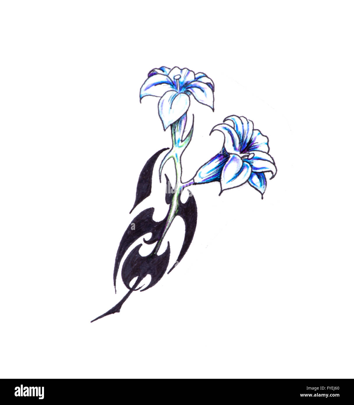 Sketch of tattoo art, flower with tribal design Stock Photo - Alamy