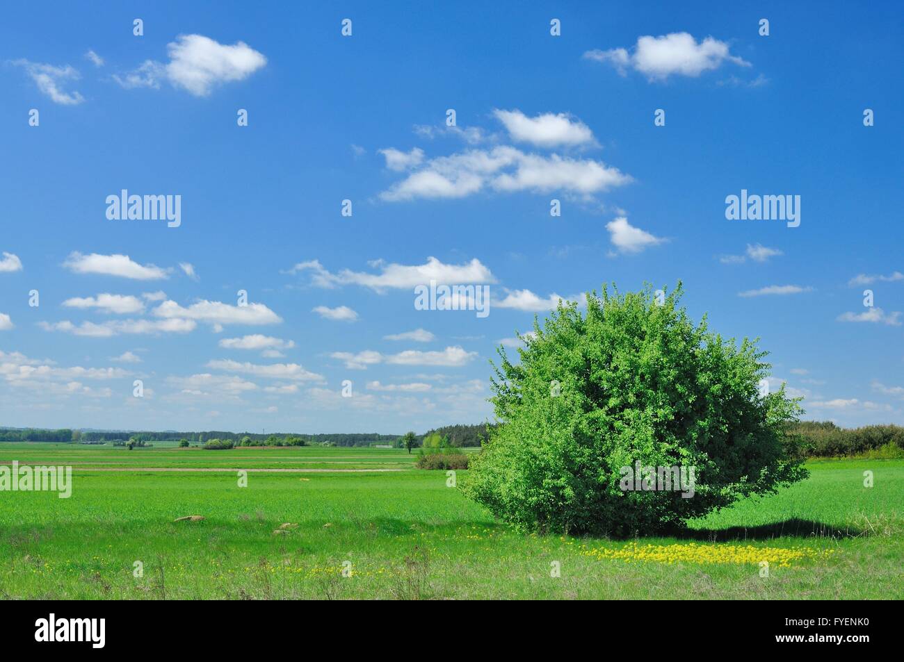 Landscape summer view hi-res stock photography and images - Alamy