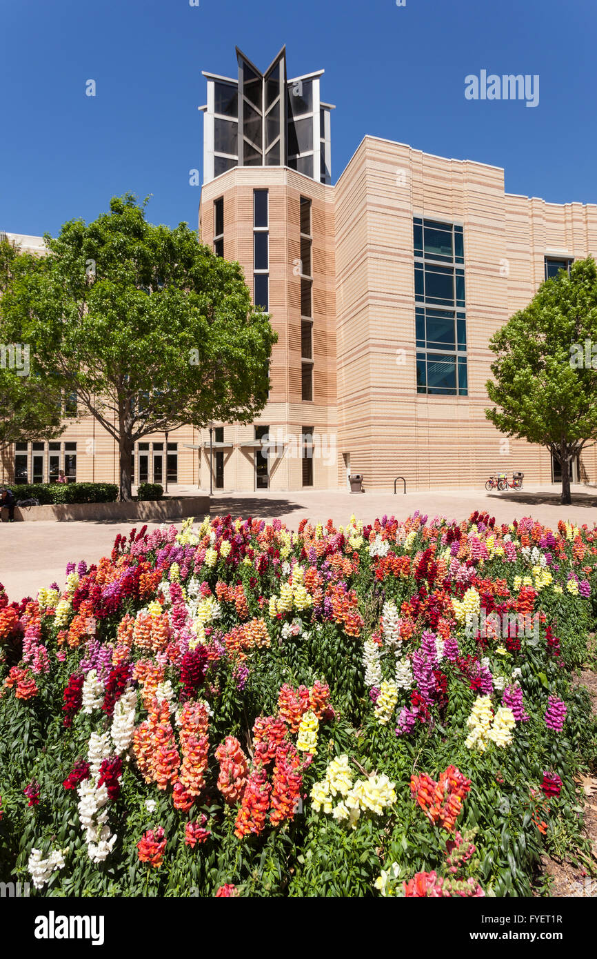 Flowers in Fort Worth downtown district. Texas, USA Stock Photo