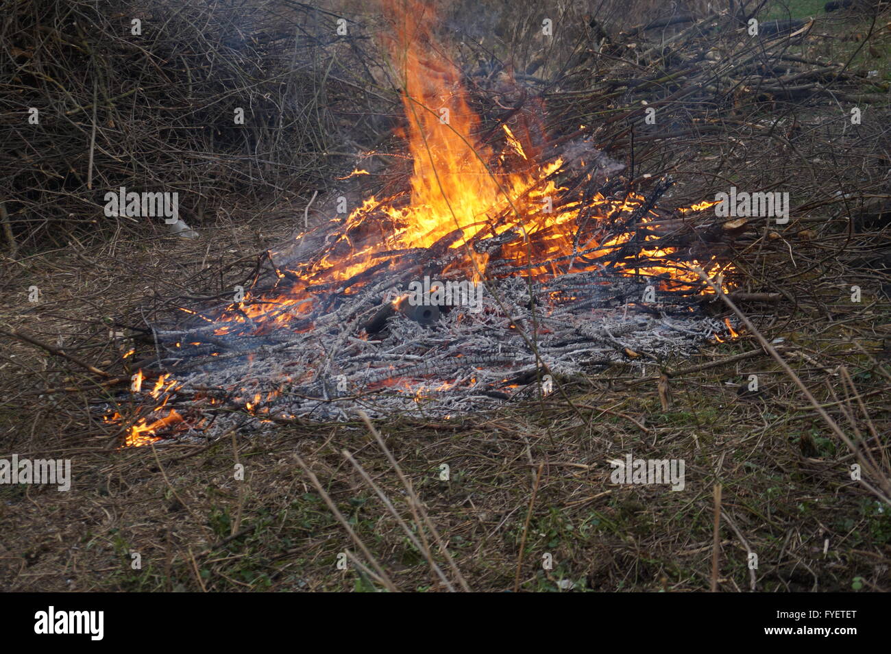 Fire flames background behavior devil witchcraft wild Stock Photo - Alamy