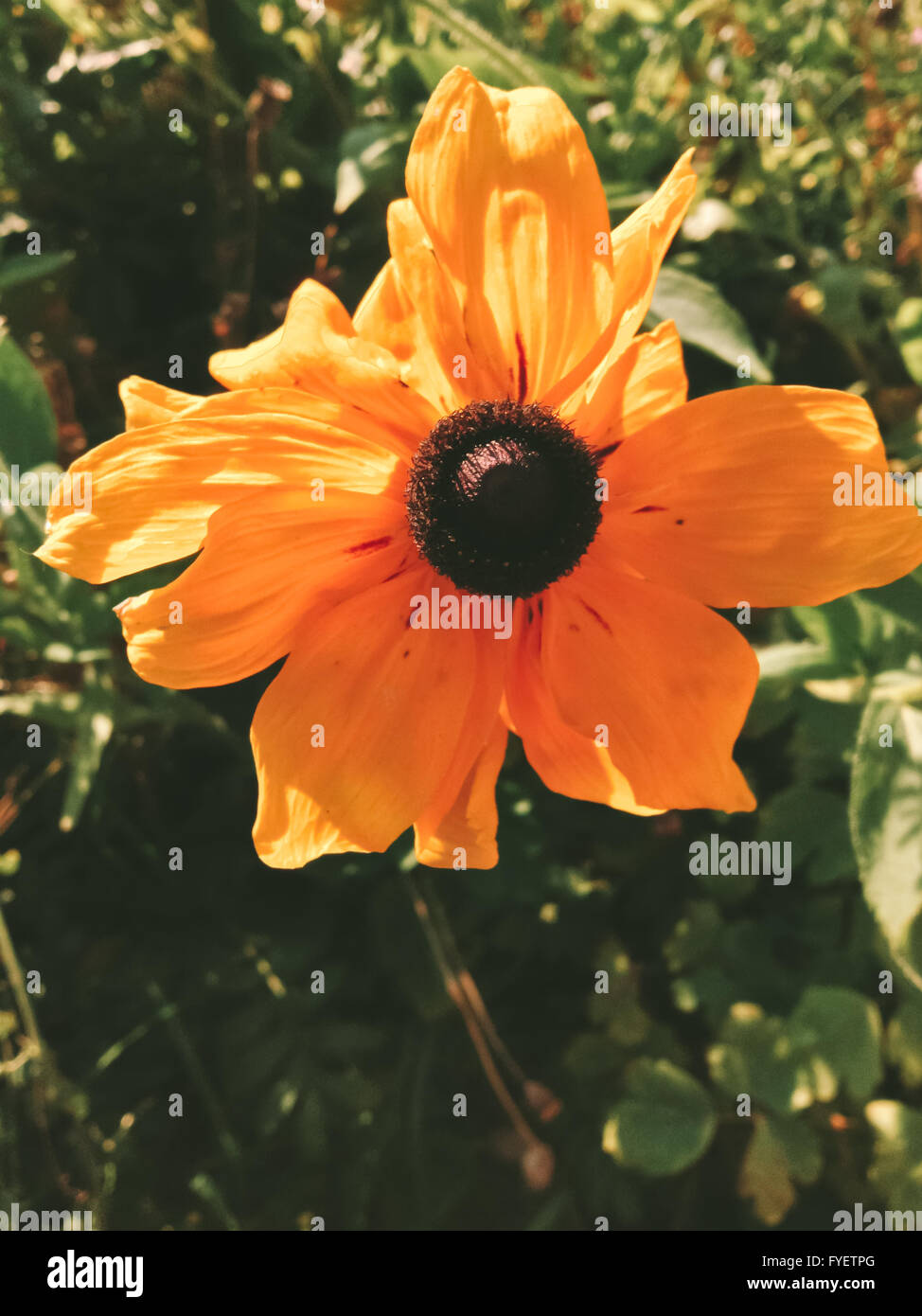 Closeup colors hires stock photography and images Alamy