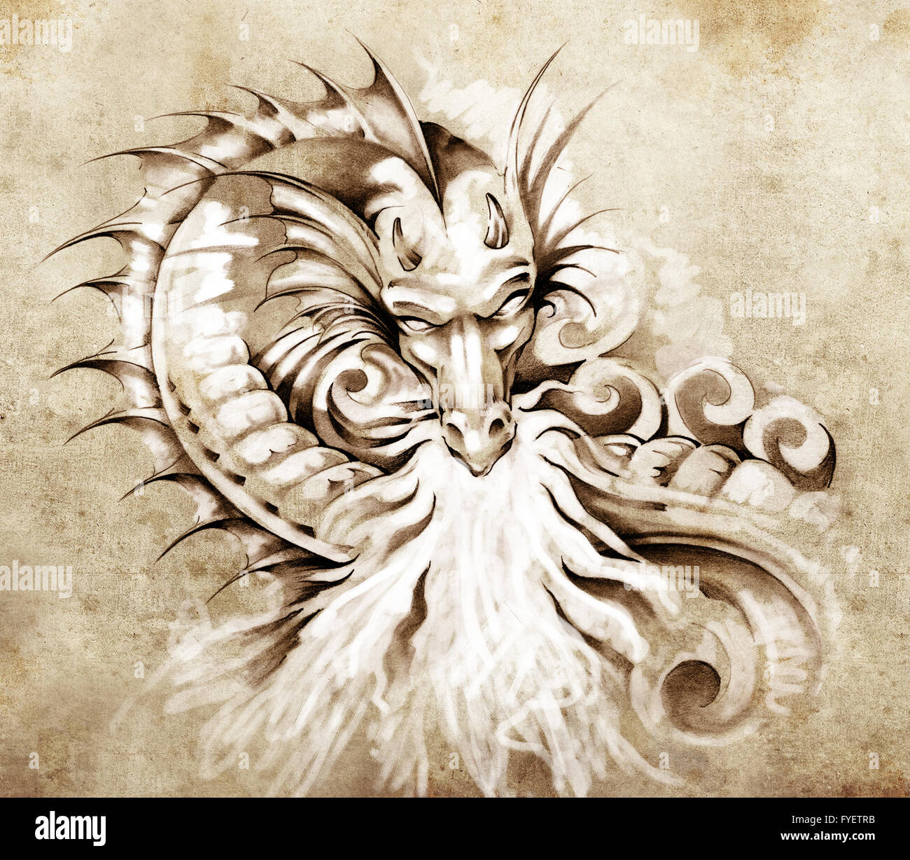 Dragon head drawing hi-res stock photography and images - Alamy