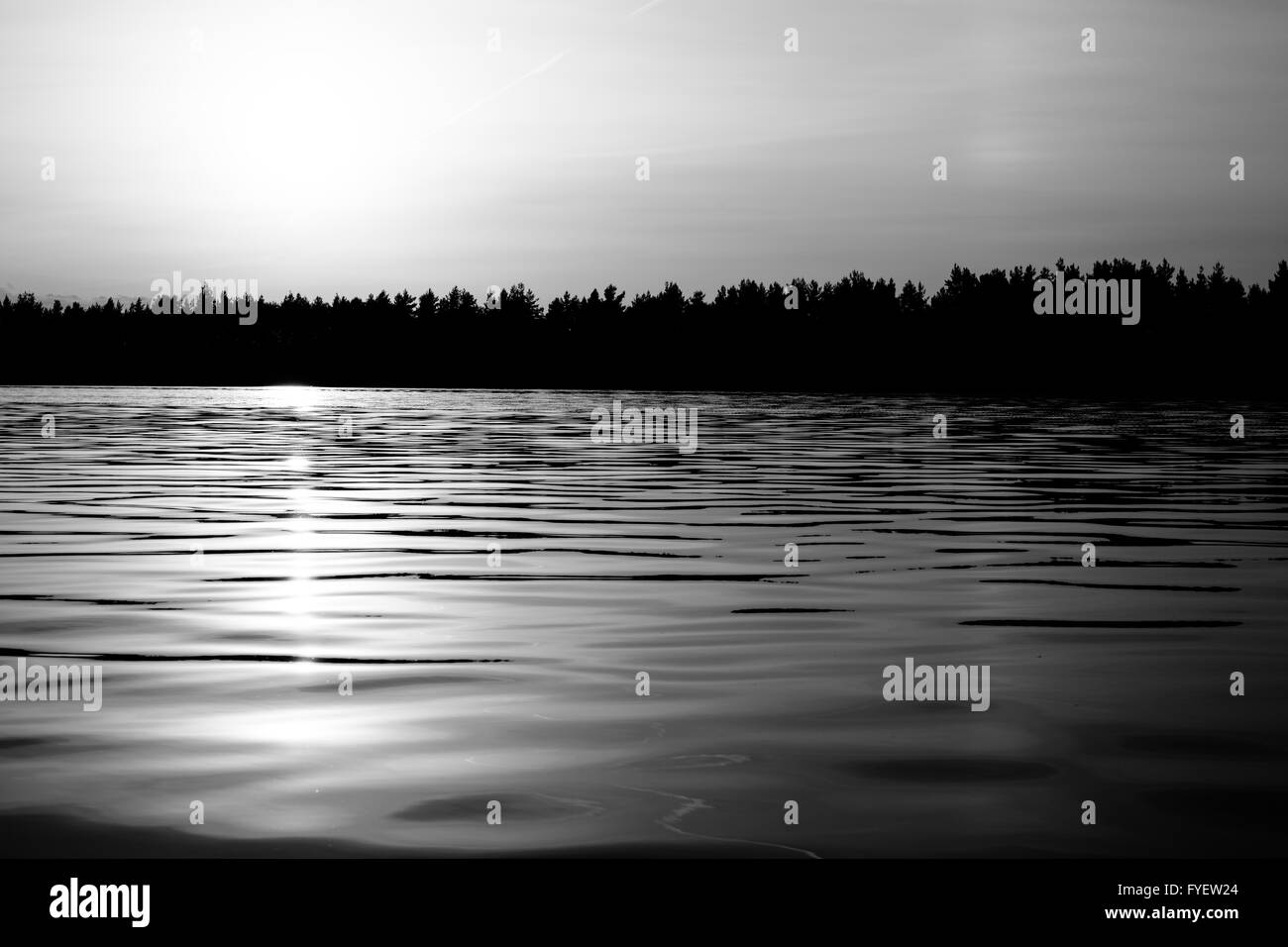 Black forest lake hi-res stock photography and images - Alamy