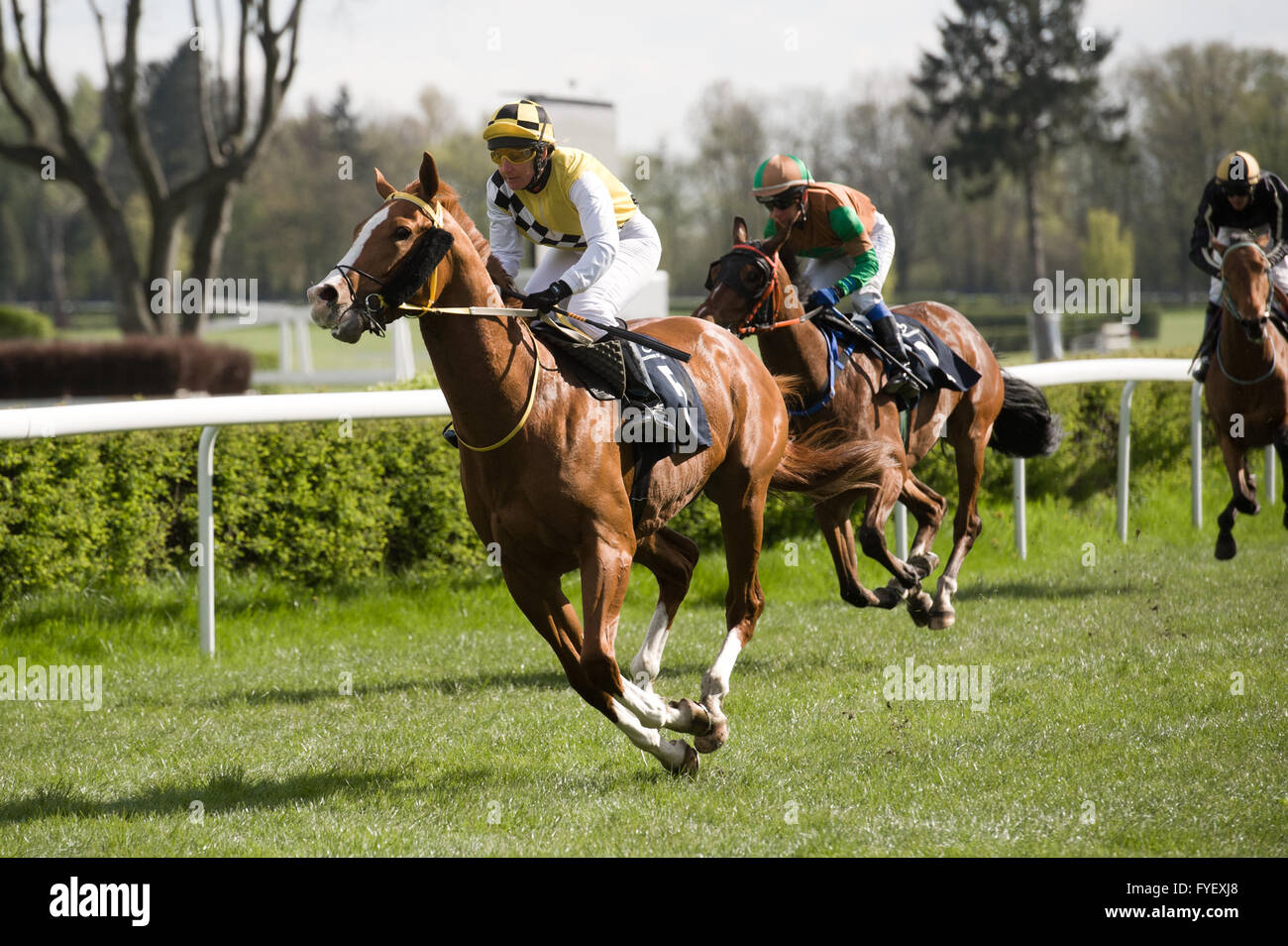 Wroclaw, Poland. 24rd April, 2016. Horse racing in Wroclaw, Poland. Stock Photo