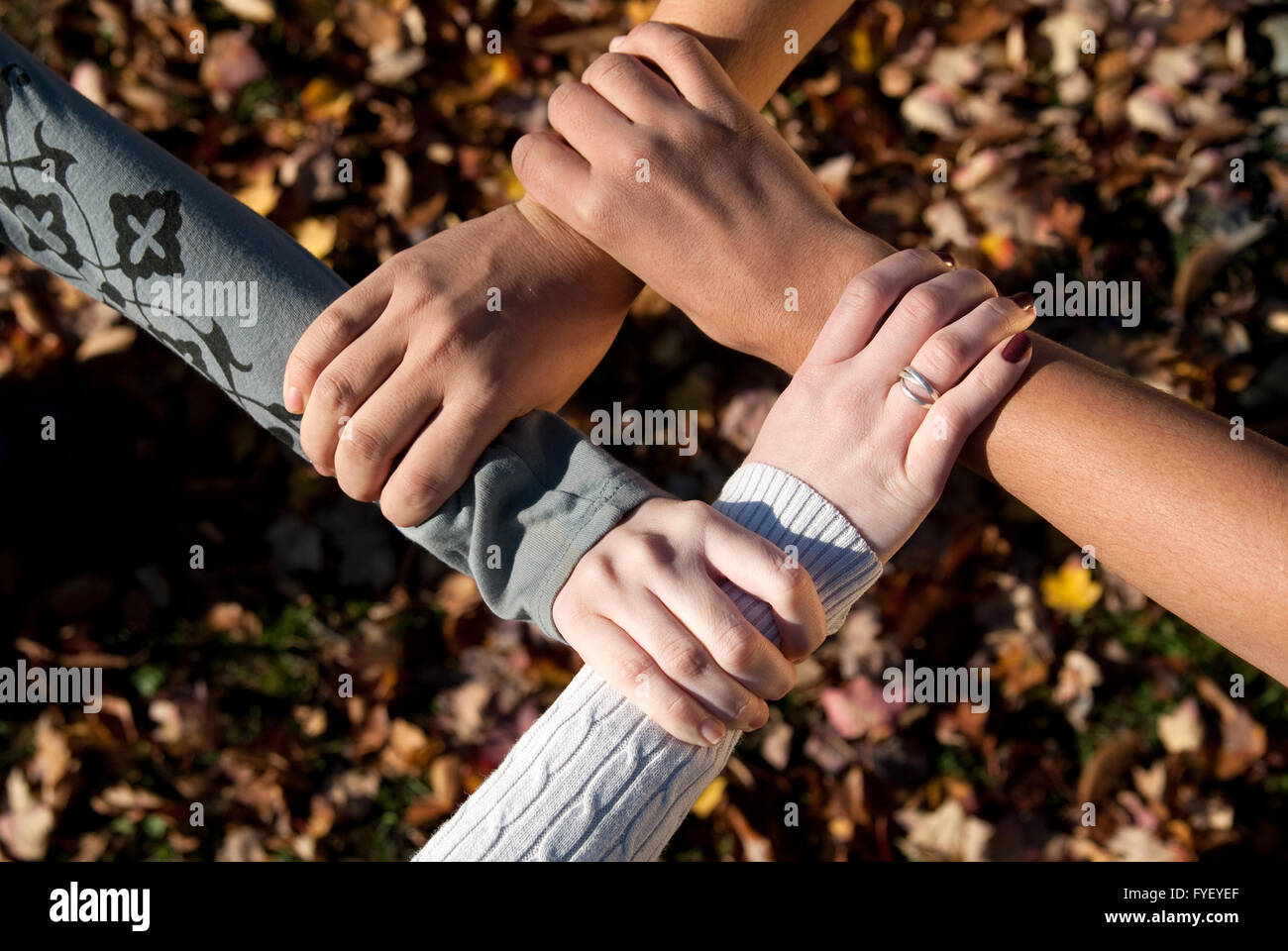 Teamwork Indigenous Ethnic leaves hi-res stock photography and images - Alamy