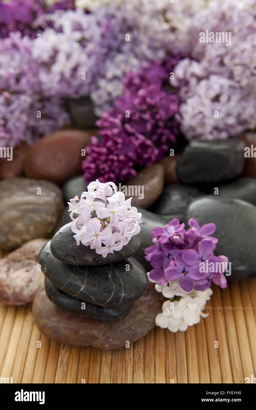 Luxurious rock hi-res stock photography and images - Alamy