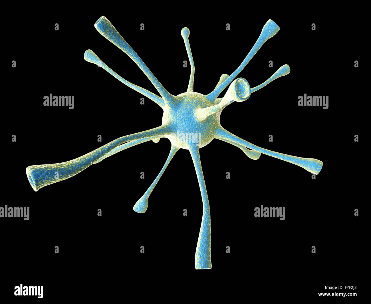 Neuro logical hi-res stock photography and images - Alamy
