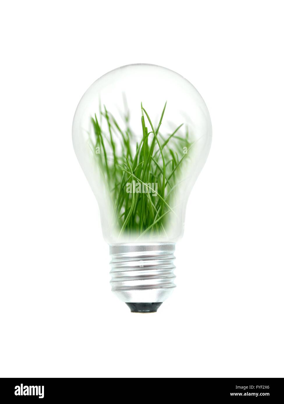 A light bulb isolated against a white background Stock Photo - Alamy