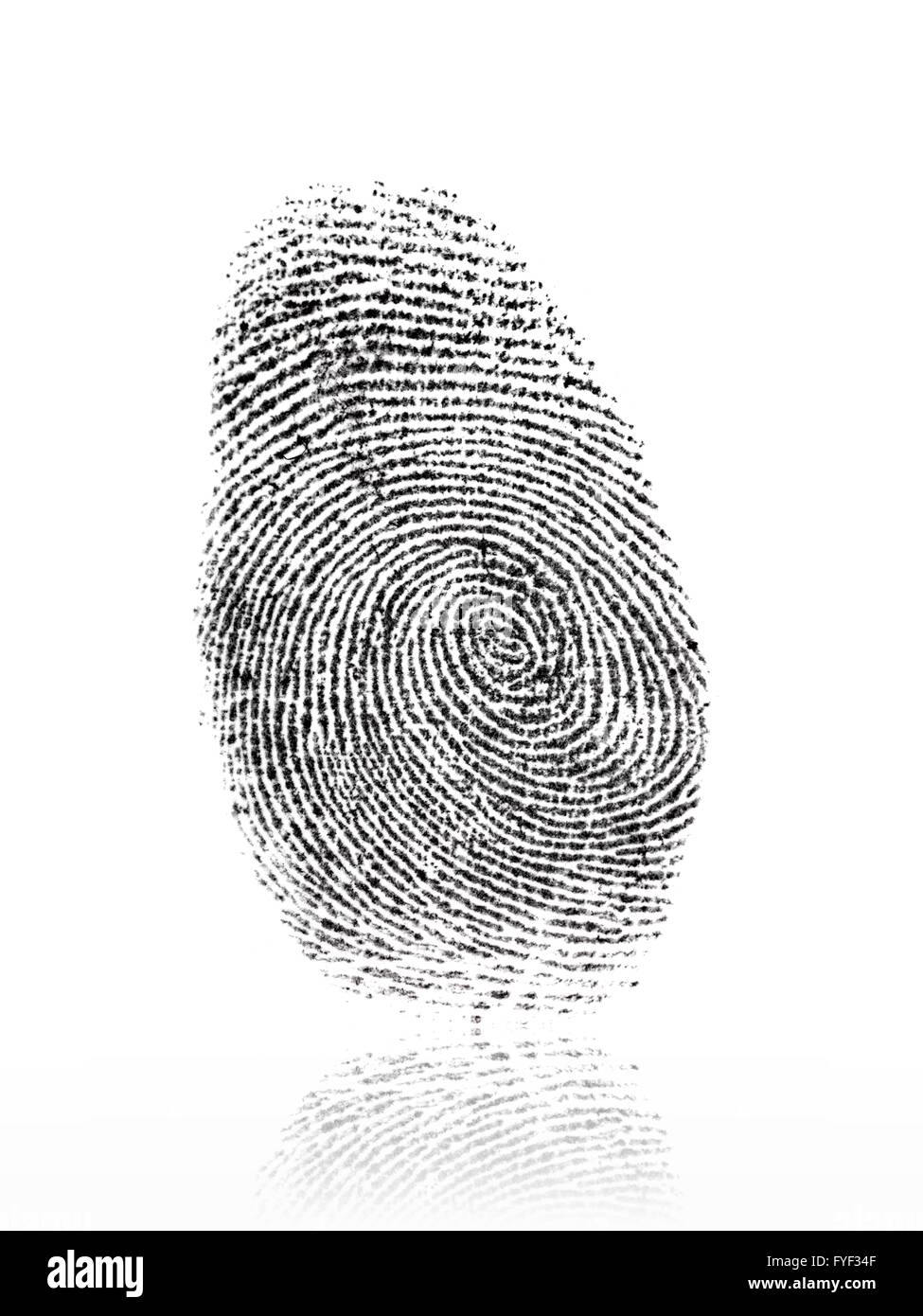 A finger print isolated against a white background Stock Photo