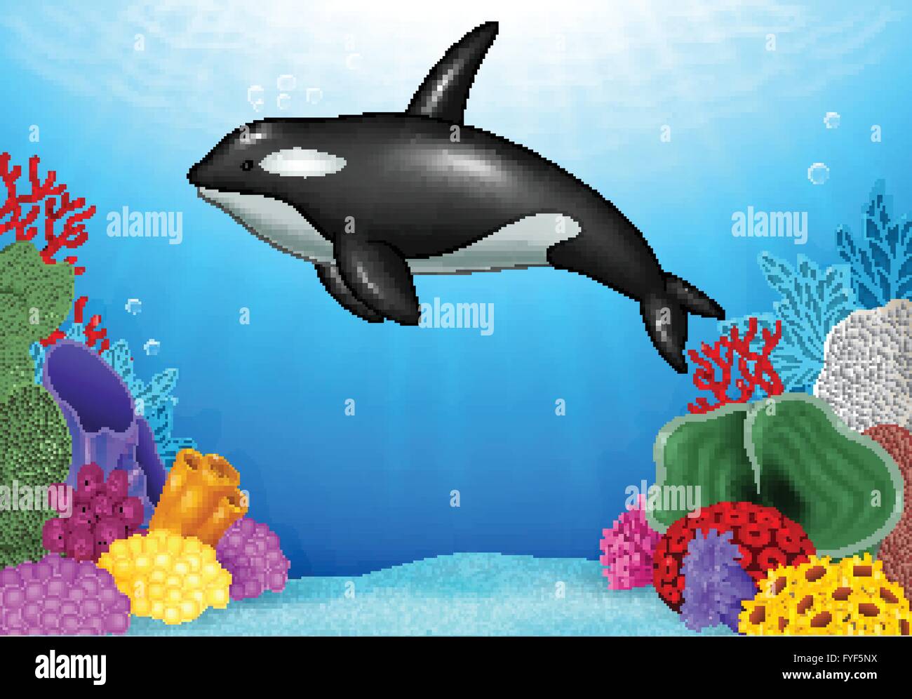 cartoon killer whale with coral reef underwater in ocean stock