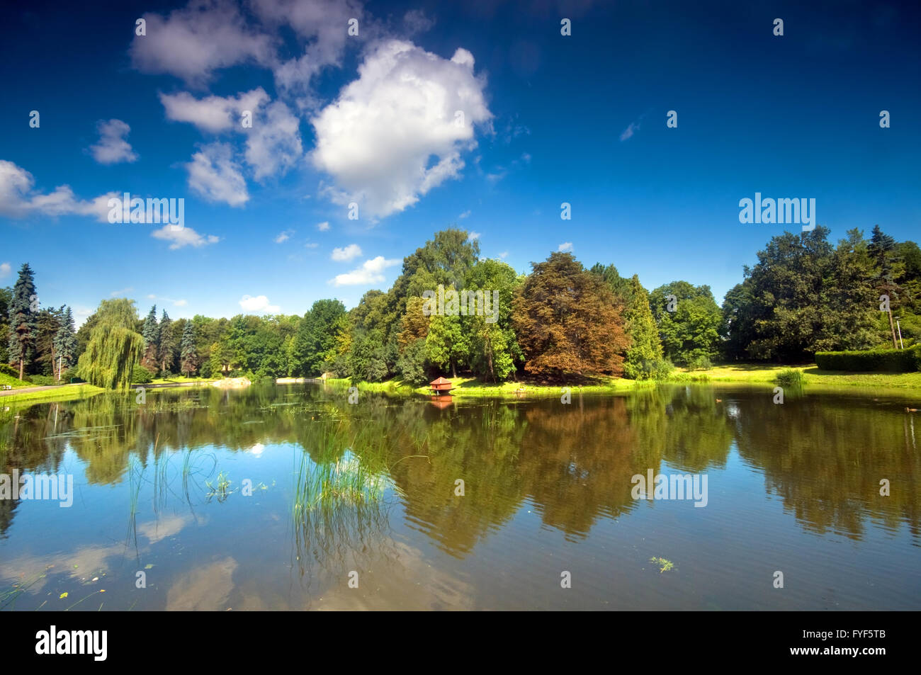 Colorful autumn summer park with lake Stock Photo - Alamy