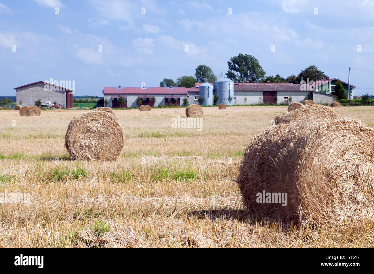 Farm buildings and haystack on the field Stock Photo