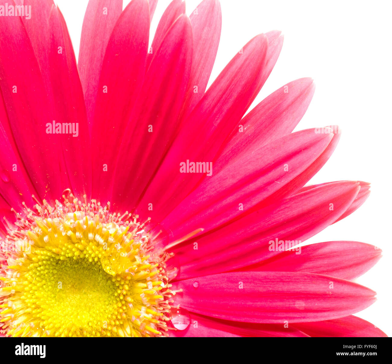 Yellow pastel colors hi-res stock photography and images - Alamy