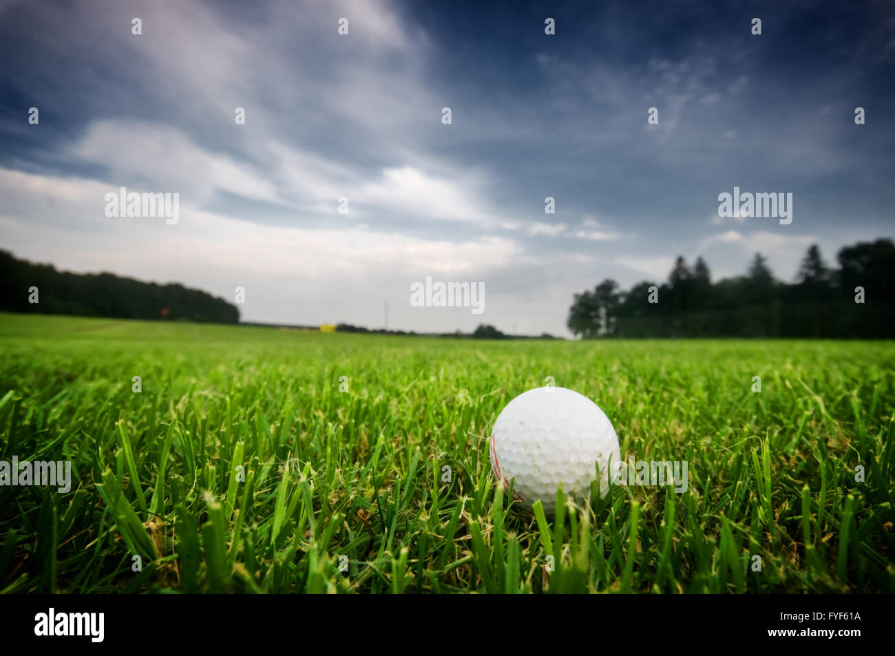 Golf ball on the field. Green grass Stock Photo
