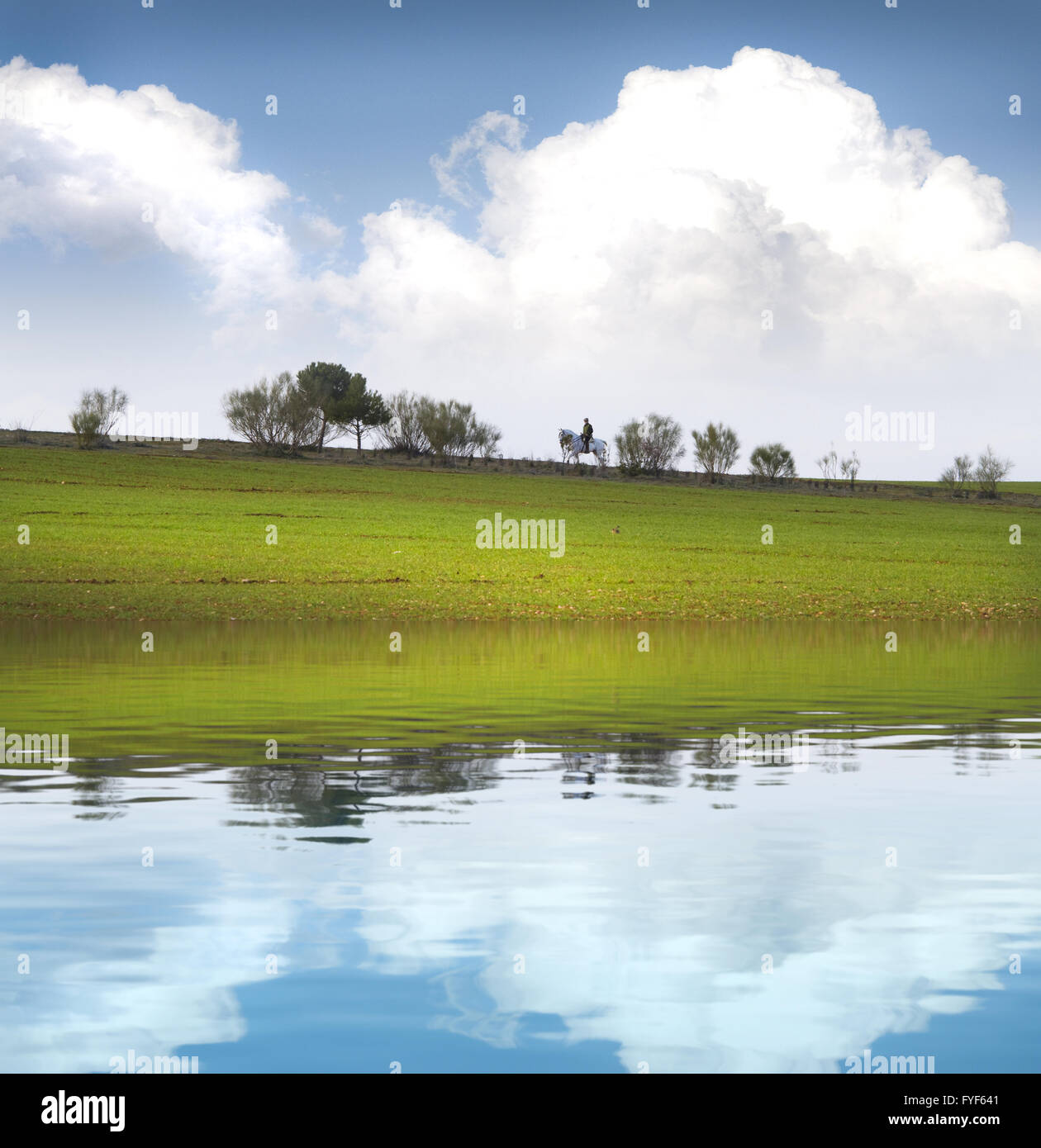 Spanish Agriculture field with water reflection Stock Photo Alamy