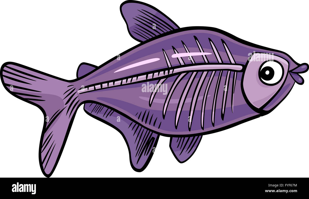 cartoon x-ray fish Stock Photo