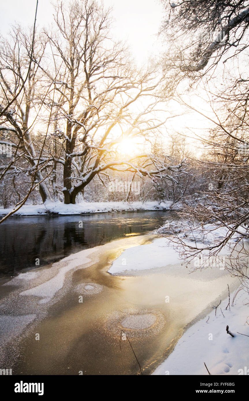 Sunbeam forest winter hi-res stock photography and images - Alamy