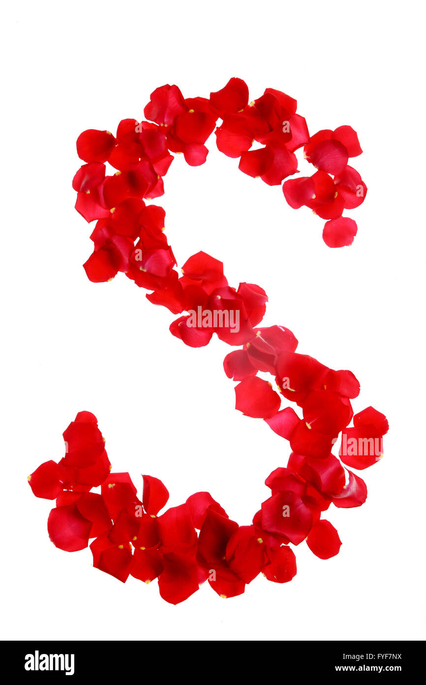 Rose petals forming letter Cut Out Stock Images & Pictures Alamy