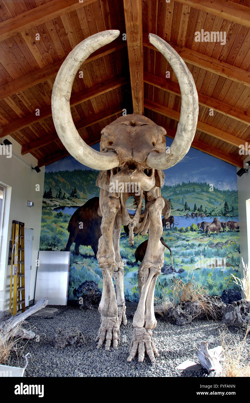 Grangeville, Idaho, USA Stock Photo Alamy