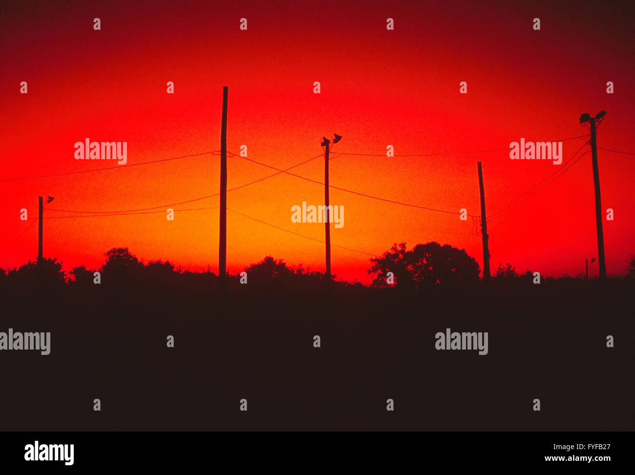 Orange sunrise sky over telephone poles & electrical wires Stock Photo