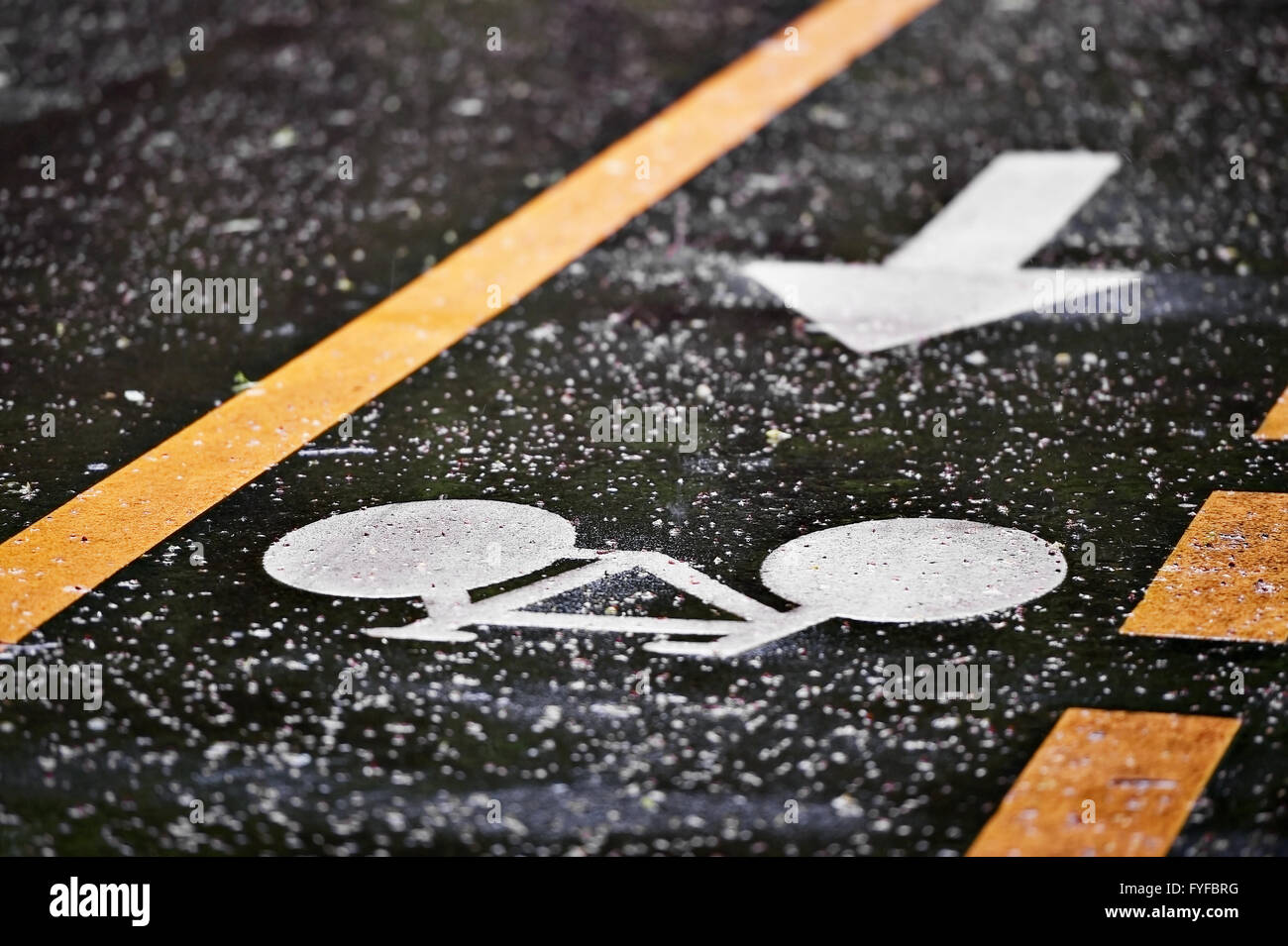 Rainfall on bicycle lanes in a park in springtime Stock Photo