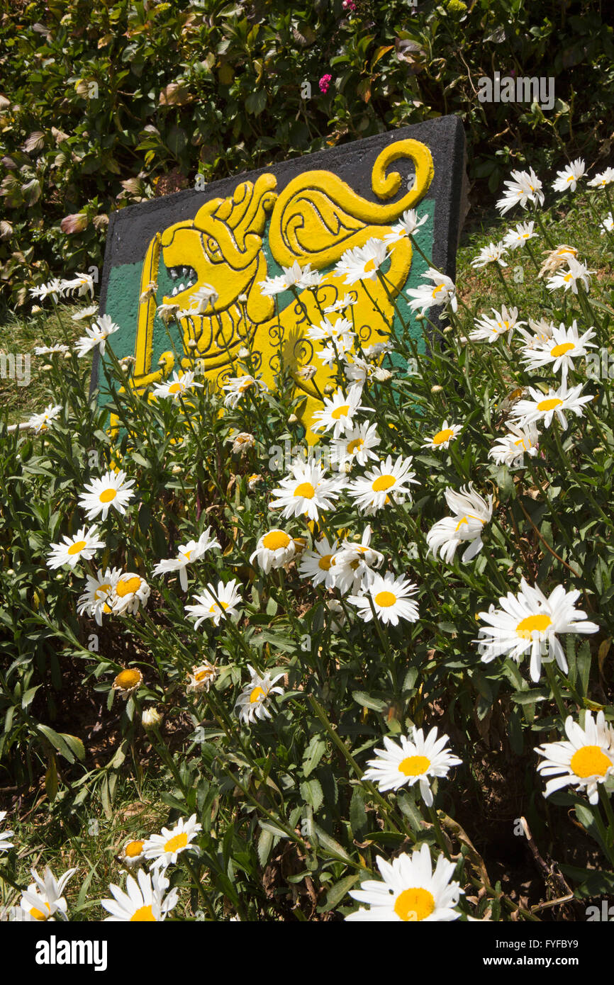 Sri Lanka, Nuwara Eliya, Pidurutalagala (Mount Pedro) army base lion