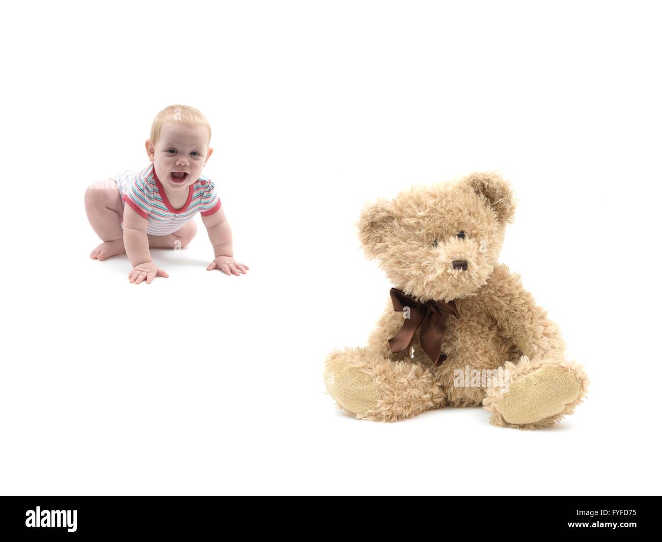 A teddy bear isolated against a white background Stock Photo - Alamy