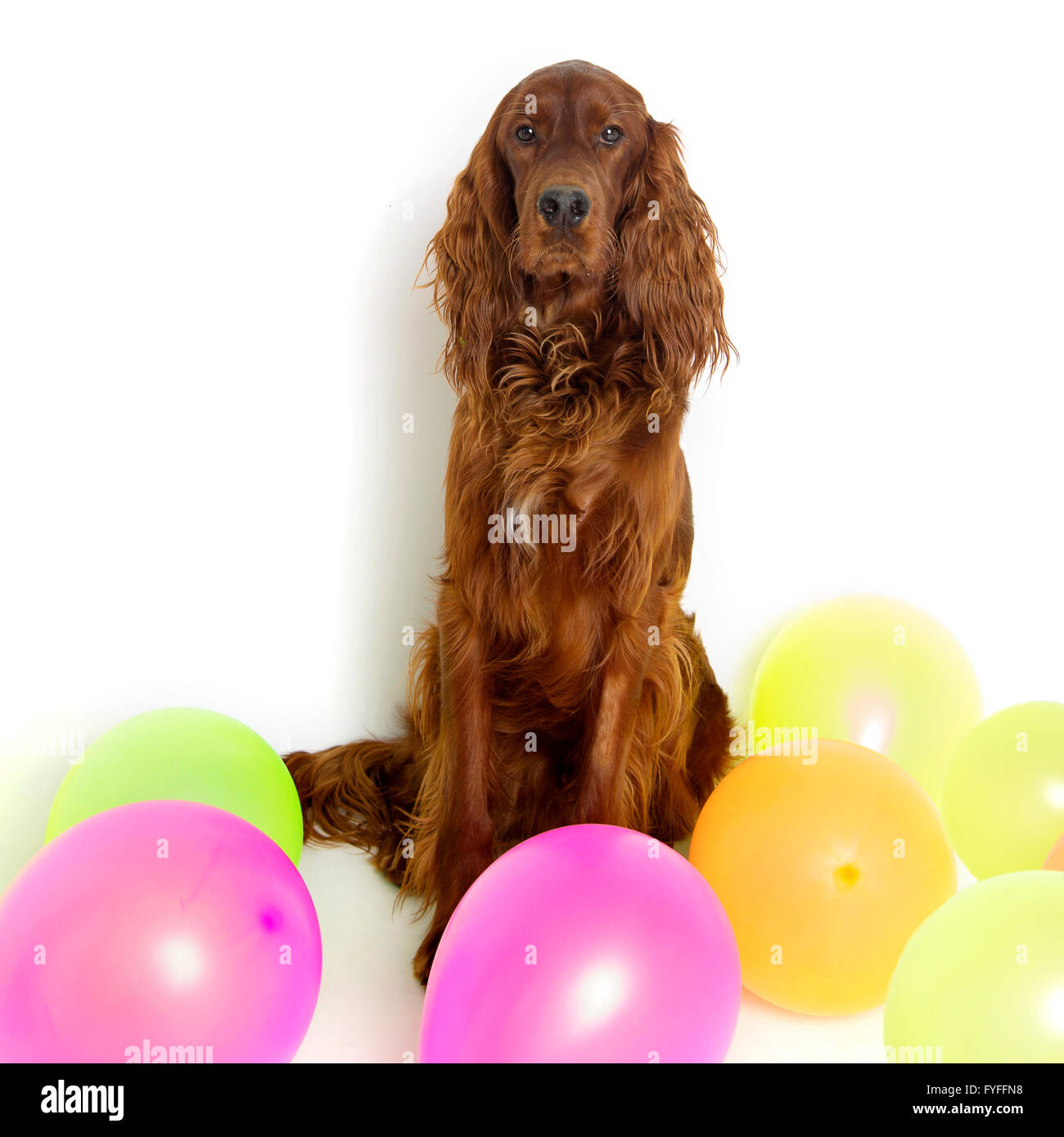 Caption balloons hi-res stock photography and images - Alamy