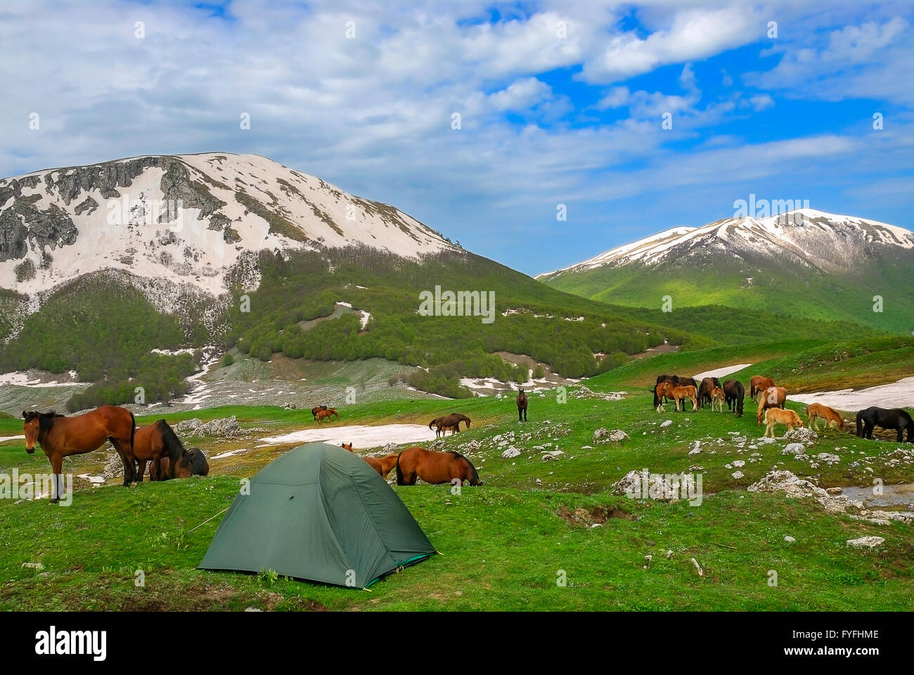 Italy Pollino National Park Serra del Prete Camp and horses on the Pollino Stock Photo