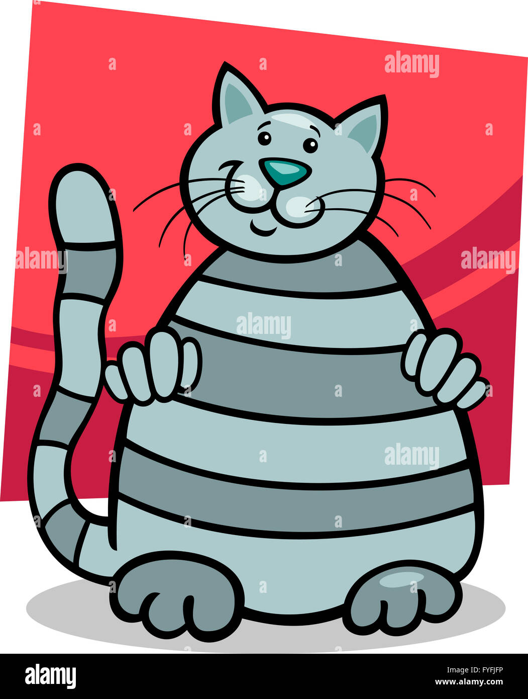 gray tabby cat life expectancy gray tabby cat life expectancy