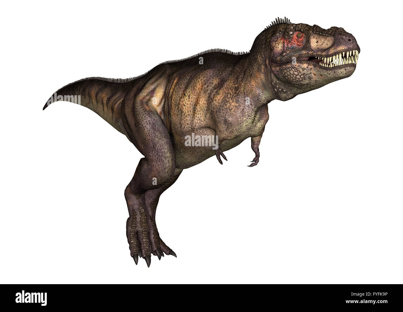 T-Rex dinosaur running in environment with some plants. 3D realistic  illustration Stock Photo - Alamy