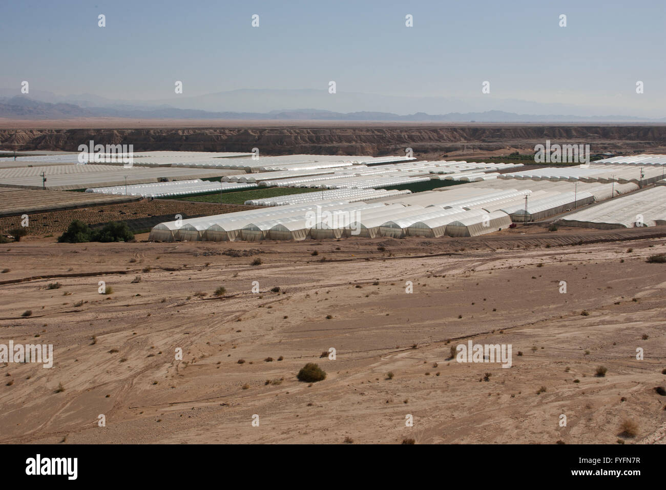 Desert Farming greenhouses in the desert, Arava, Israel Stock Photo