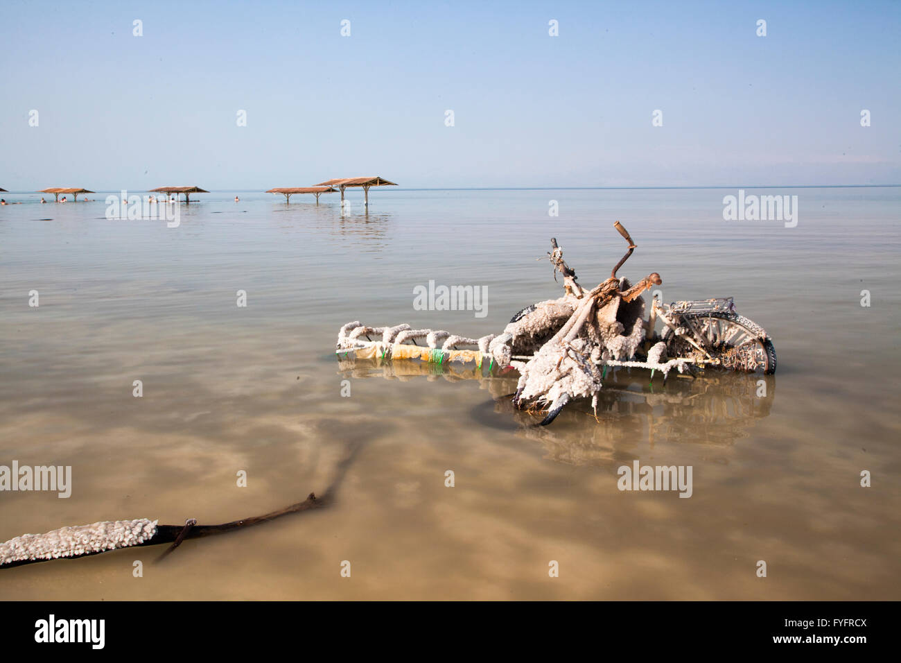 Israel, Dead Sea, salt crystalization caused by water evaporation Stock Photo