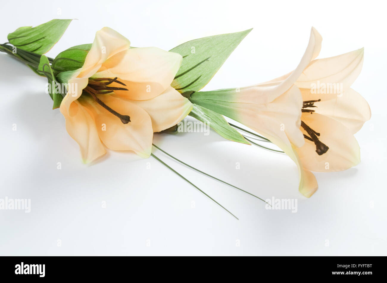 Two lillies isolated on white Stock Photo