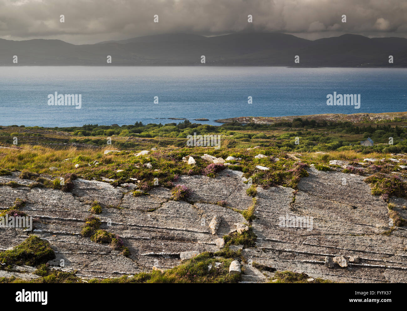 View from Kilcatherine, Beara Peninsula, County Cork, Ireland, across Kenmare Bay to the mountains of the Iveragh Peninsula Stock Photo