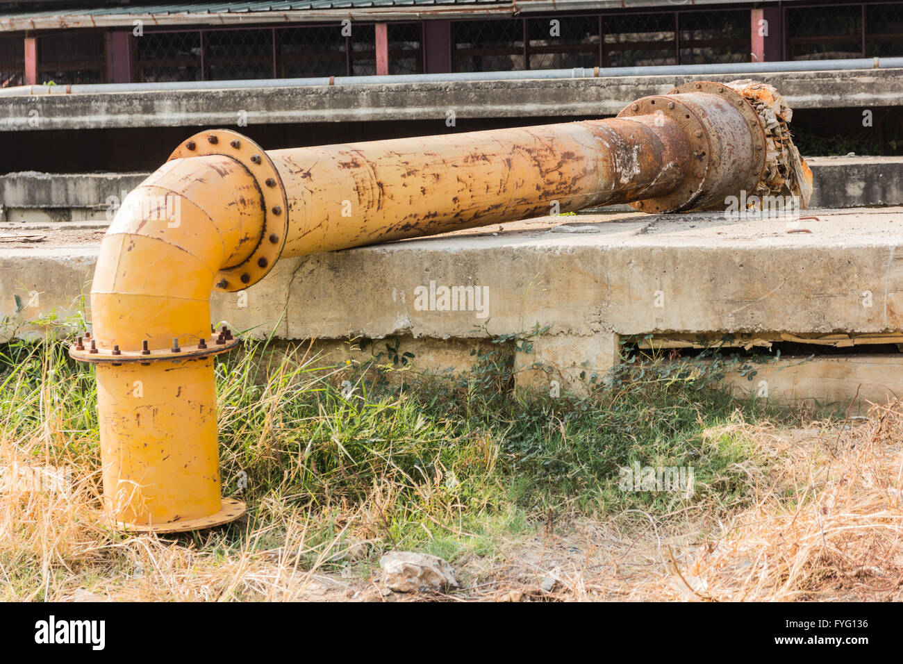 Stopcock on the pipe among grass beneath Stock Photo