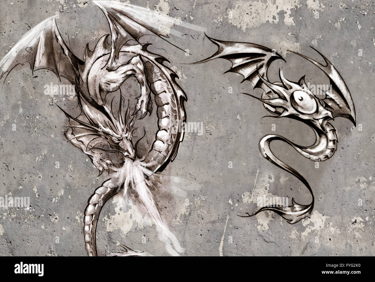 Tattoo art illustration, dragons over grey wall Stock Photo