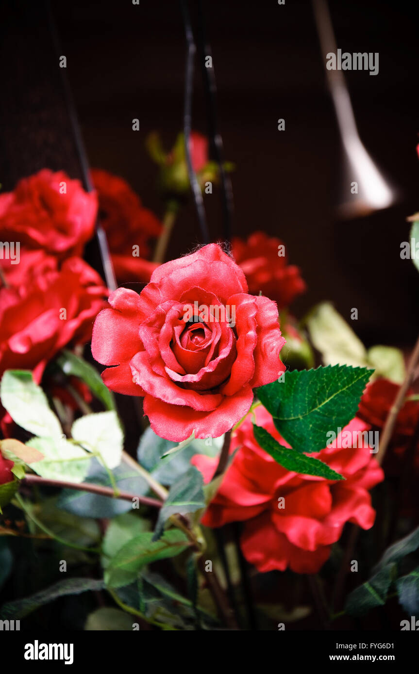 Imitation Rose High Resolution Stock Photography and Images - Alamy