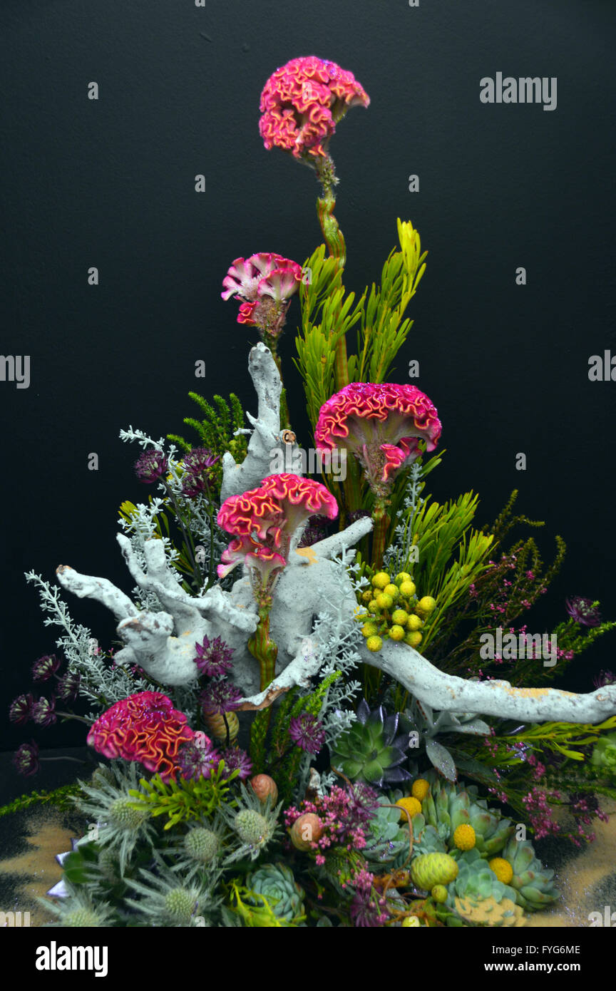Floral Art Design Titled 'Oceans Hidden Depths' on Display at the Harrogate Spring Flower Show. Yorkshire UK. Stock Photo