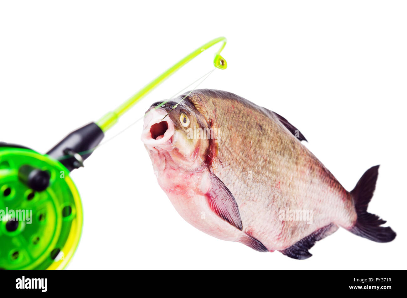 Tough Hook Big Fish Owner Rose Ibushi White Hand Seam Sea Bream Hook Strong Pepper Needle Design For Big Fish Saltwater Fishing Hooks Tough Hook Big Fish Owner Rose Ibushi White Hand Seam Sea Bream Hook Strong Pepper Needle Design For Big Fish Saltwater Fishing Hooks