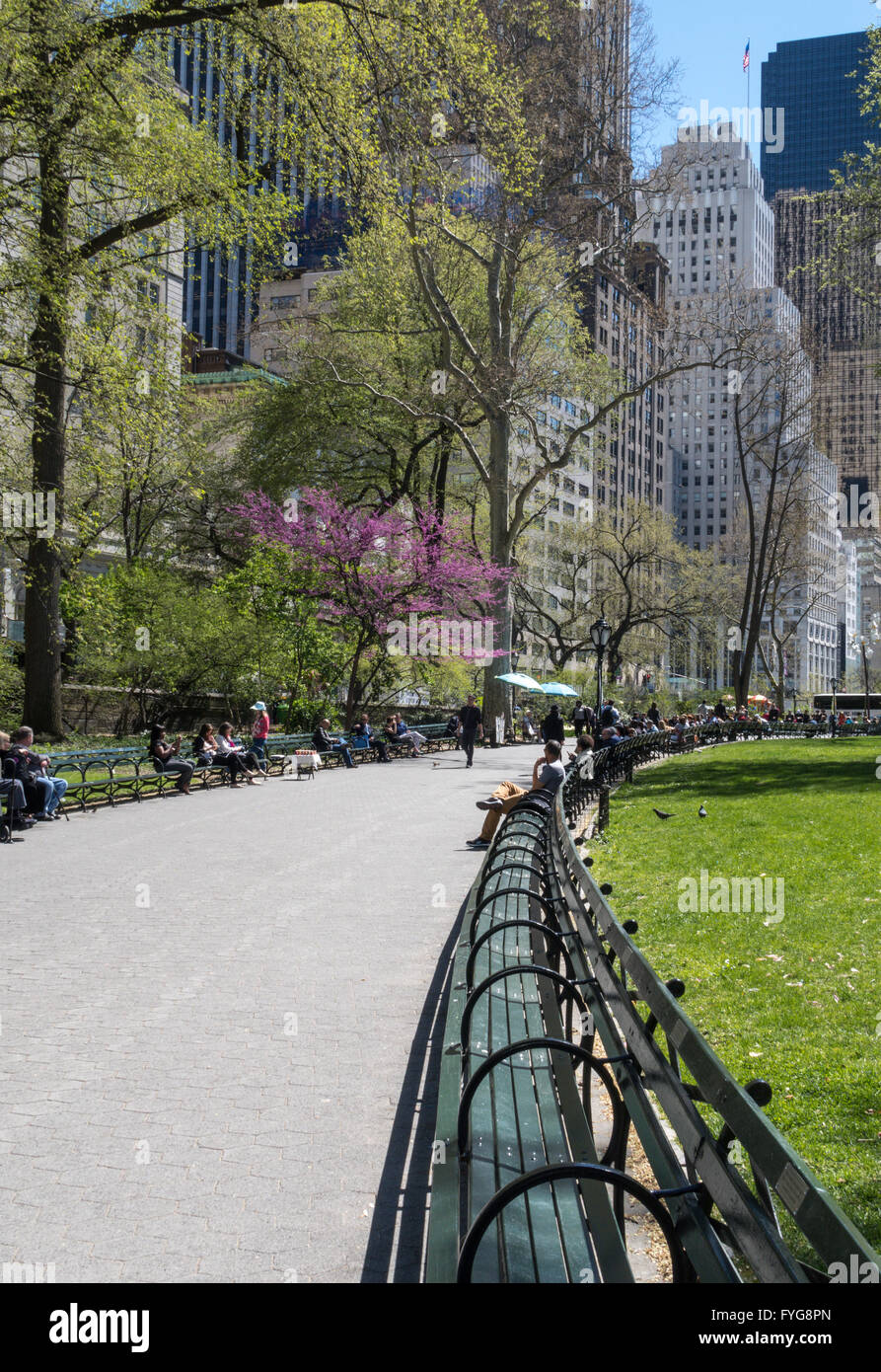 Central park benches, new york city hi-res stock photography and