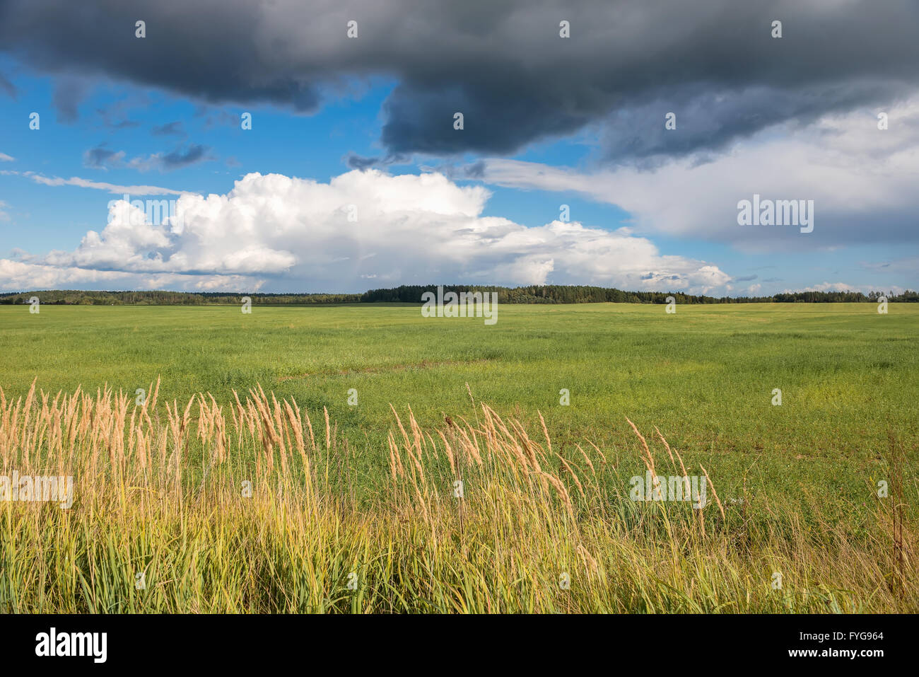 Landscape field and clouds summer, after the harvest Stock Photo - Alamy