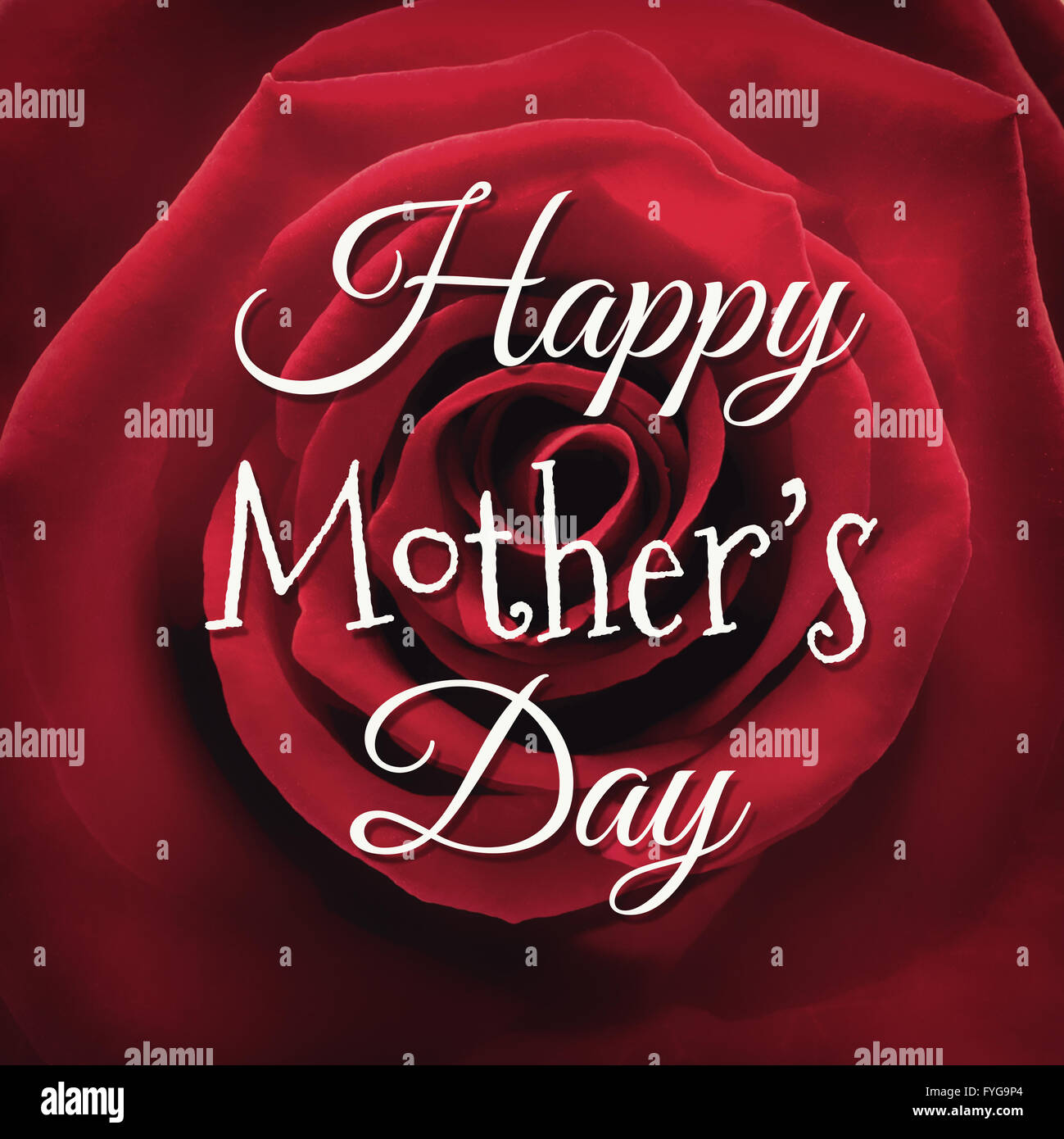 Happy rose day image hi-res stock photography and images - Alamy